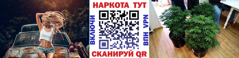Купить закладку Карабаново Альфа ПВП Кокаин ГАШ Амфетамин МАРИХУАНА МЕФ