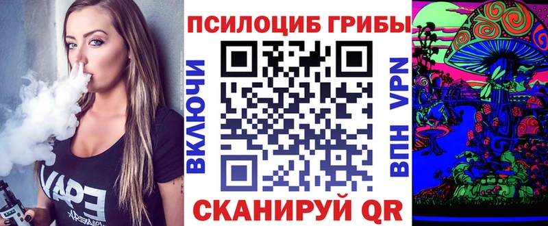 Псилоцибиновые грибы мухоморы  купить наркотики сайты  KRAKEN ТОР  Карабаново 